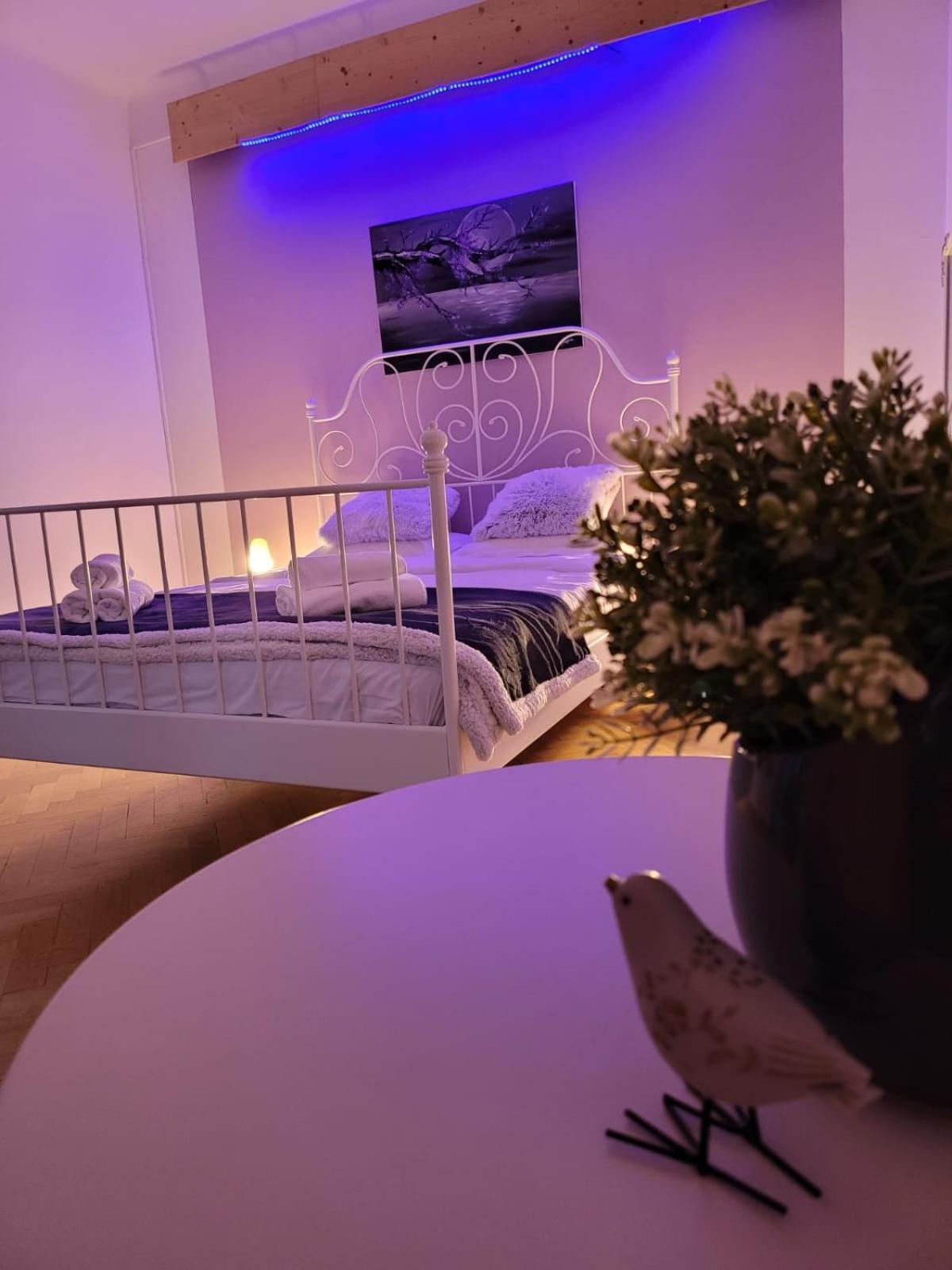 Vintage Apartment Old Center Μπρασόβ Εξωτερικό φωτογραφία